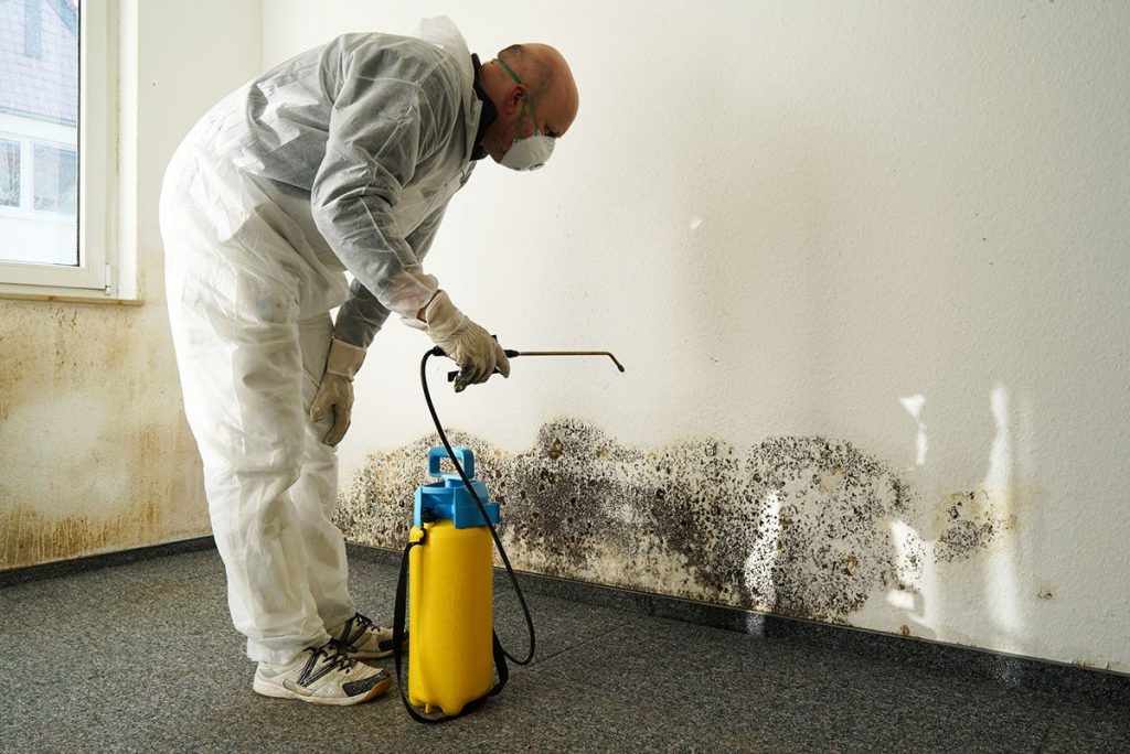 What Does It Mean When You Hold Mold Remediation Certification?